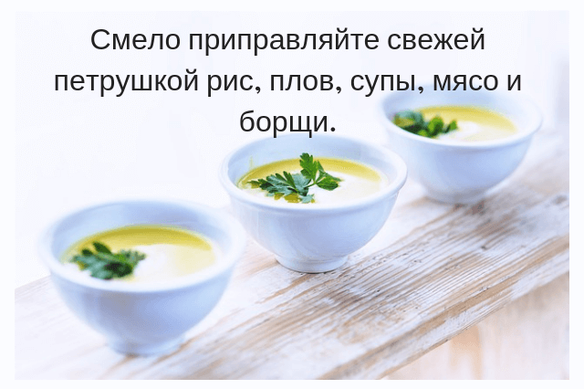 Что полезного в петрушке и укропе для мужского организма?