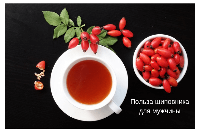 Чем полезен шиповник для мужчины? Лечебные свойства, польза и вред для потенции мужчины
