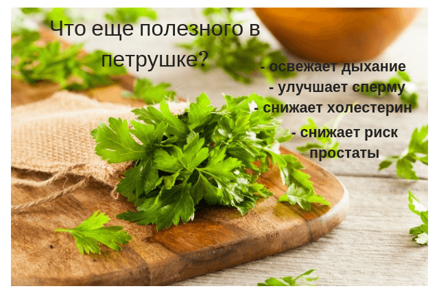 Что полезного в петрушке и укропе для мужского организма?