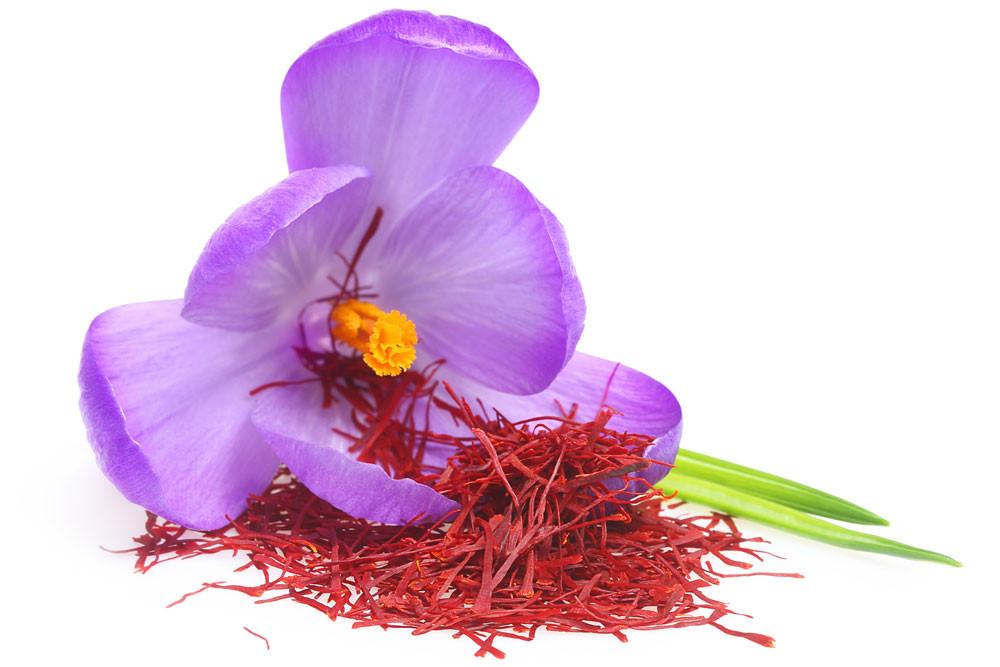Шафран для потенции и тестостерона у мужчин