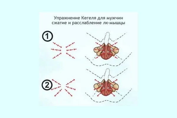 Упражнение